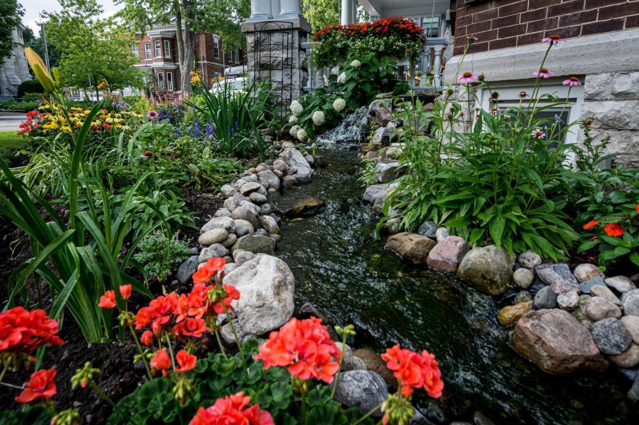 The Secret Garden Inn 金斯顿 外观 照片