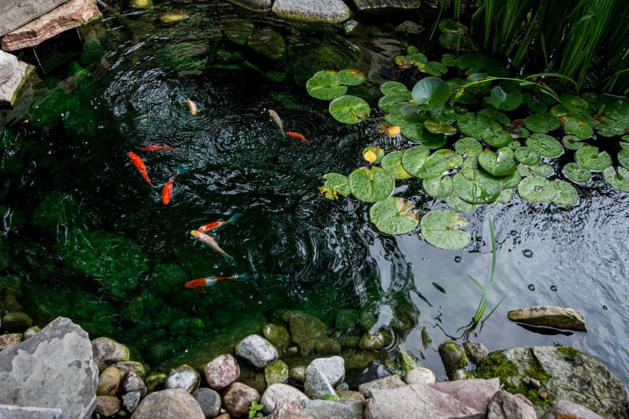 The Secret Garden Inn 金斯顿 外观 照片